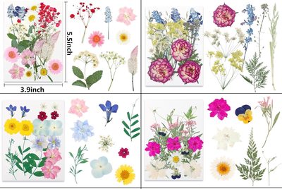 Stop Wearing Plain Clothes: Use Dried Pressed Flowers to Turn Your Old Denim & Canvas into Wearable Art